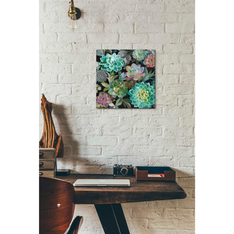 Image of 'Floral Succulents v2 Crop' by Danhui Nai, Canvas Wall Art,12 x 12