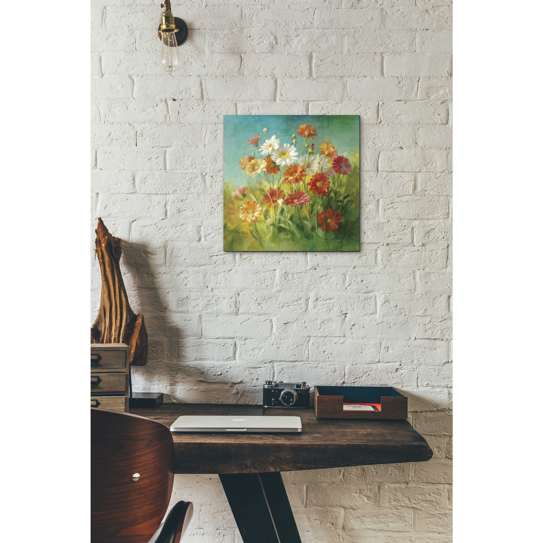 'Painted Daisies' by Danhui Nai, Canvas Wall Art,12 x 12
