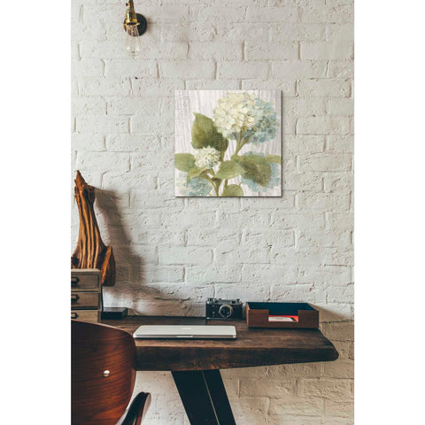 Image of 'Scented Cottage Florals IV Crop' by Danhui Nai, Canvas Wall Art,12 x 12