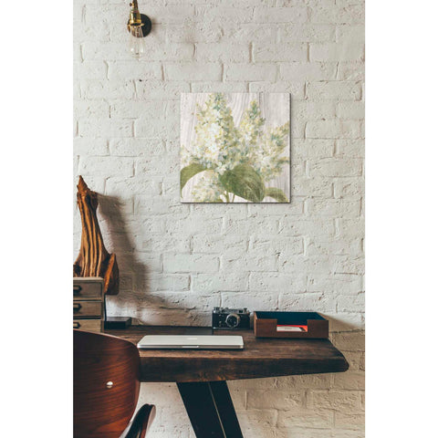 Image of 'Scented Cottage Florals II Crop' by Danhui Nai, Canvas Wall Art,12 x 12