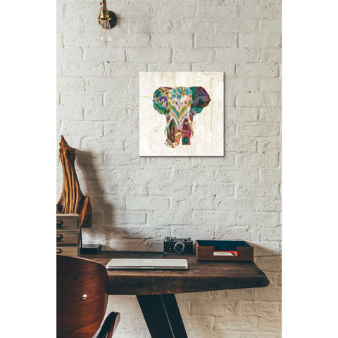 Image of 'Boho Paisley Elephant III' by Danhui Nai, Canvas Wall Art,12 x 12