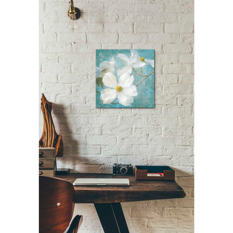 Image of 'Indiness Blossom Square Vintage I' by Danhui Nai, Canvas Wall Art,12 x 12