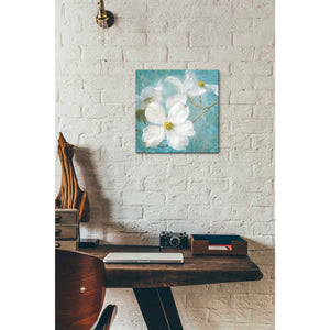 'Indiness Blossom Square Vintage I' by Danhui Nai, Canvas Wall Art,12 x 12