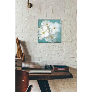 'Indiness Blossom Square Vintage II' by Danhui Nai, Canvas Wall Art,12 x 12