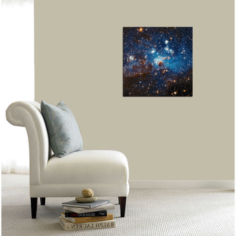 Image of 'LH 95 Star Cluster' Hubble Space Telescope Canvas Wall Art,12 x 12