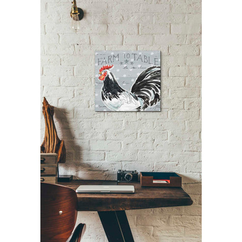 Image of 'Roosters Call III' by Daphne Brissonet, Canvas Wall Art,12 x 12