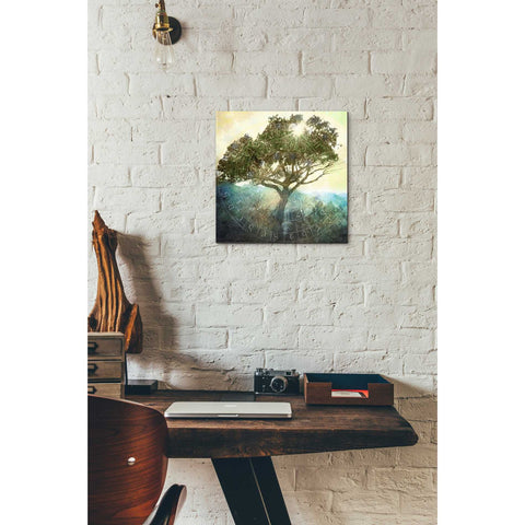 Image of 'Tree And Sun' by Elena Ray Canvas Wall Art,12 x 12