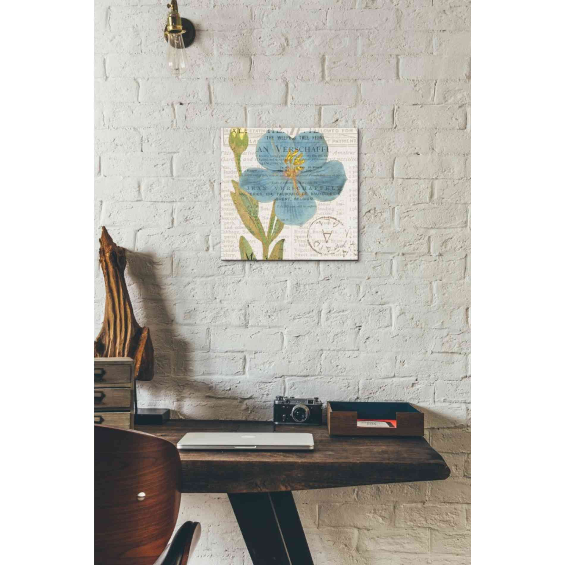 'Bookshelf Botanical VI' by Katie Pertiet, Canvas Wall Art,12 x 12