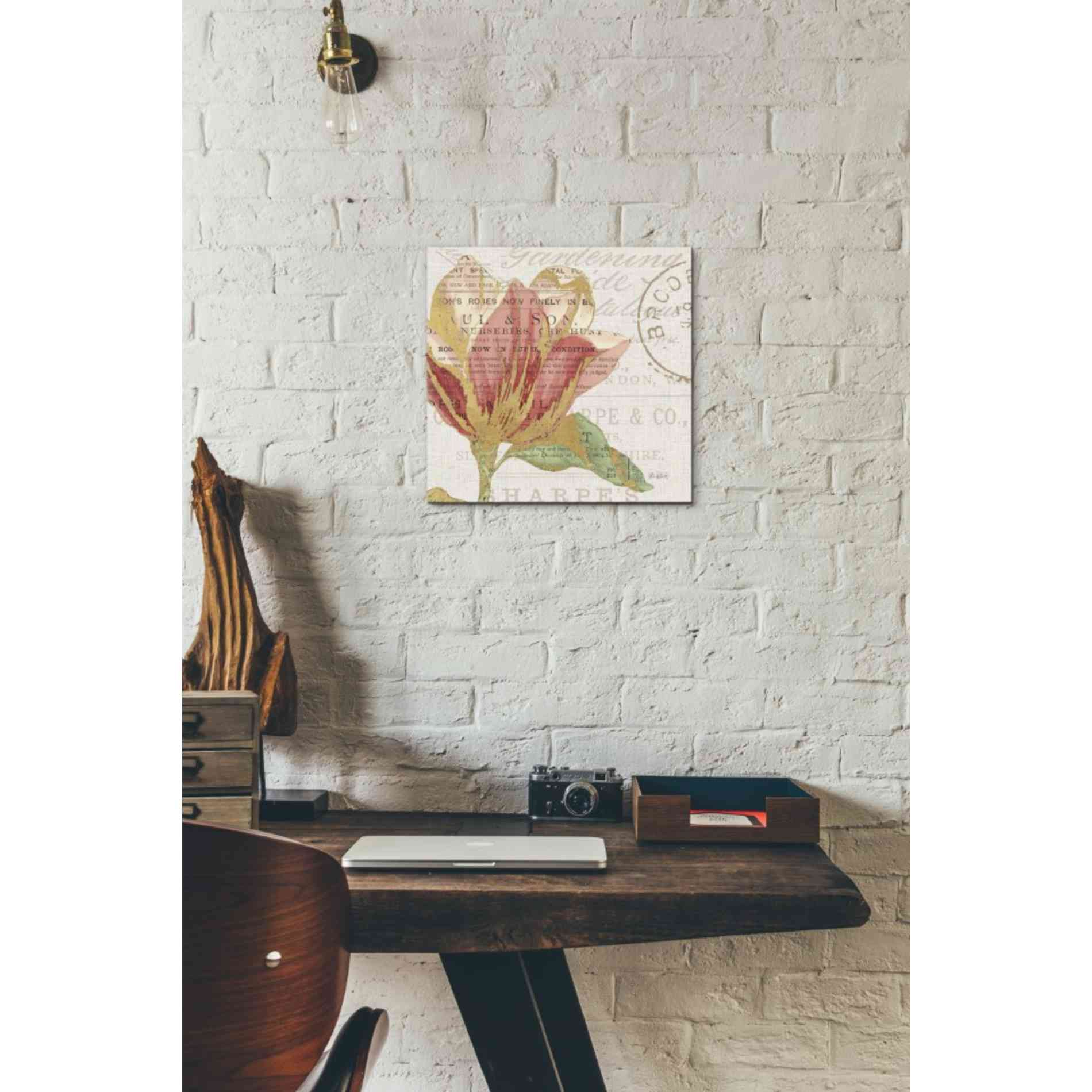 'Bookshelf Botanical III' by Katie Pertiet, Canvas Wall Art,12 x 12