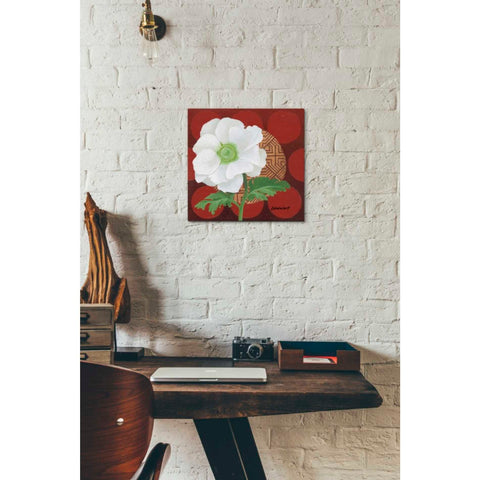 Image of 'Morning Anemone' by Kathrine Lovell, Canvas Wall Art,12 x 12