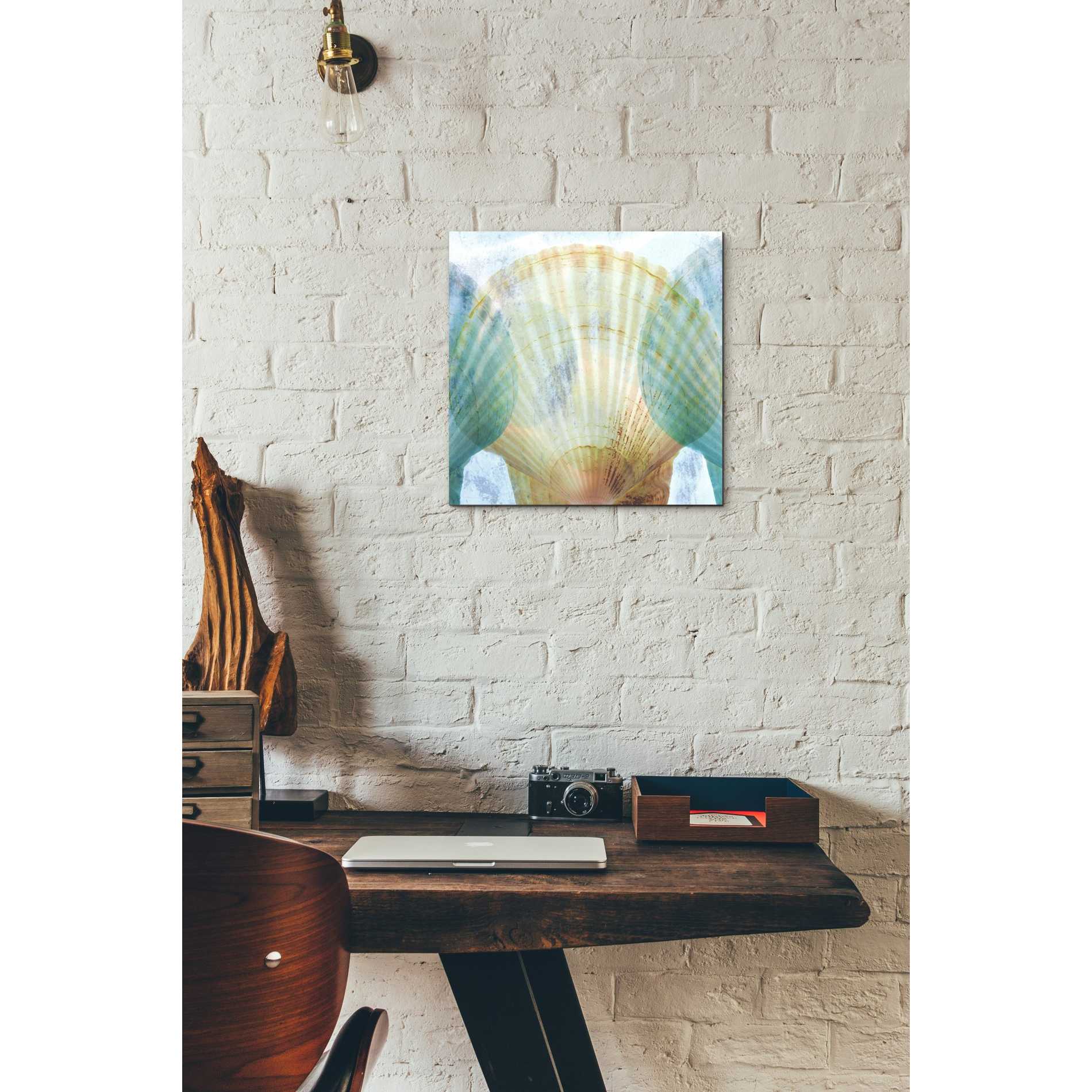 'Luminous Seashells 2' by Elena Ray Canvas Wall Art,12 x 12