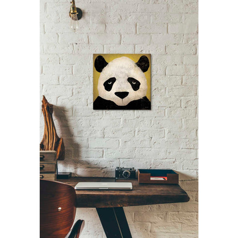 Image of 'Panda' by Ryan Fowler, Canvas Wall Art,12 x 12