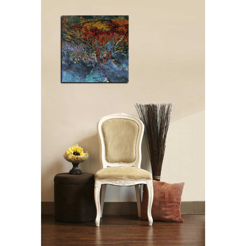 Image of 'Earth As Art: Cubism Landsat Style' Canvas Wall Art,12 x 12