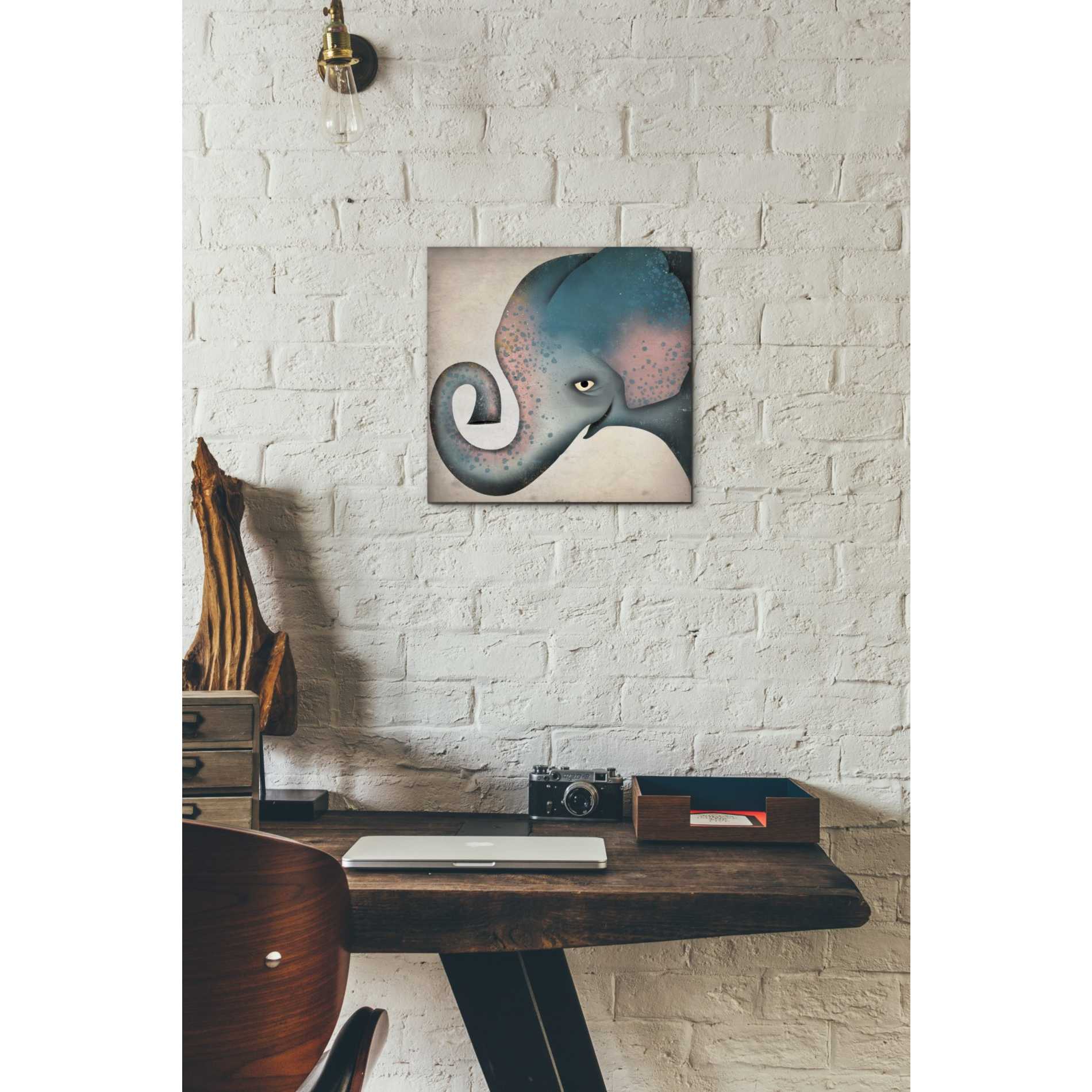 'Elephant Wow II' by Ryan Fowler, Canvas Wall Art,12 x 12