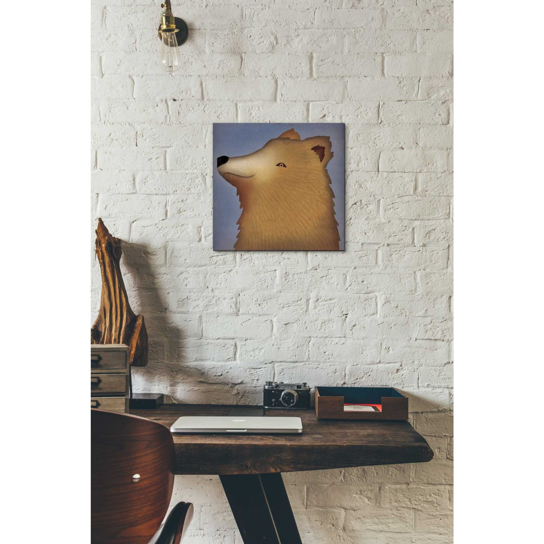 'Brown Bear Wow' by Ryan Fowler, Canvas Wall Art,12 x 12