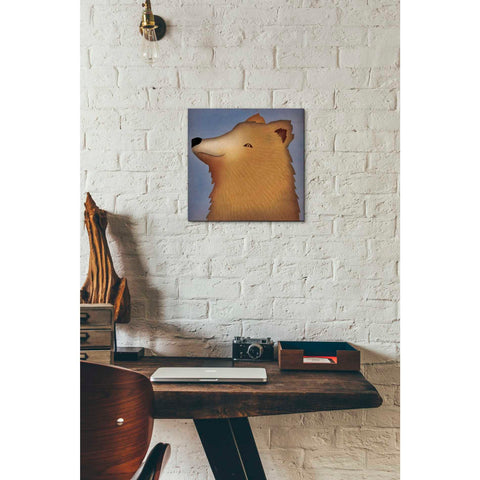 Image of 'Brown Bear Wow' by Ryan Fowler, Canvas Wall Art,12 x 12