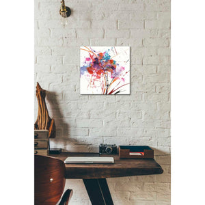 'Floral Explosion I on White' by Jan Griggs, Giclee Canvas Wall Art