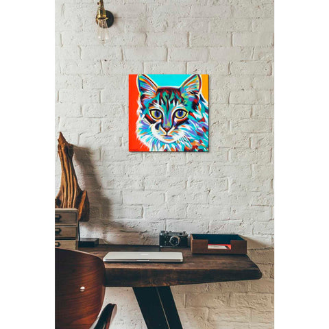 Image of 'Dramatic Cats II' by Carolee Vitaletti Giclee Canvas Wall Art