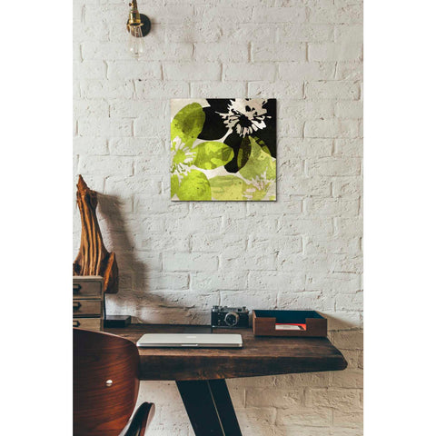 Image of 'Bloomer Tiles VI' by James Burghardt Giclee Canvas Wall Art