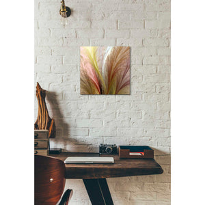 'Fountain Grass II' by James Burghardt Giclee Canvas Wall Art