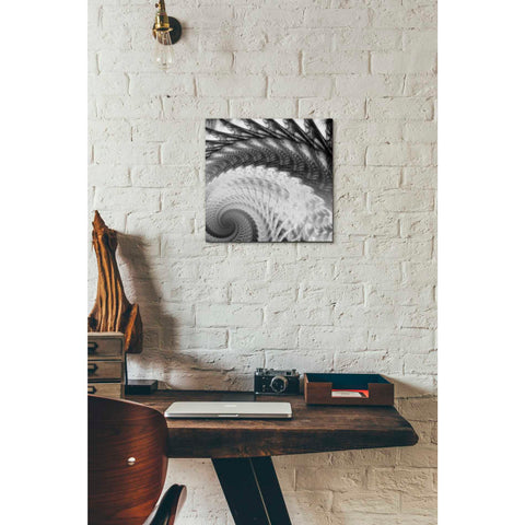 Image of 'Helix I' by James Burghardt Giclee Canvas Wall Art