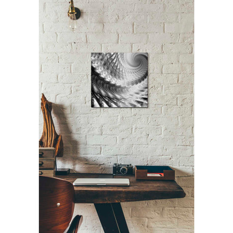 Image of 'Helix II' by James Burghardt Giclee Canvas Wall Art