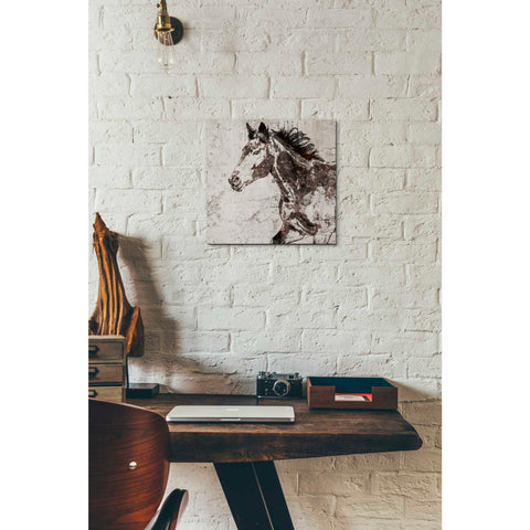 Image of 'Galloping Horse 2' by Irena Orlov, Canvas Wall Art,12 x 12
