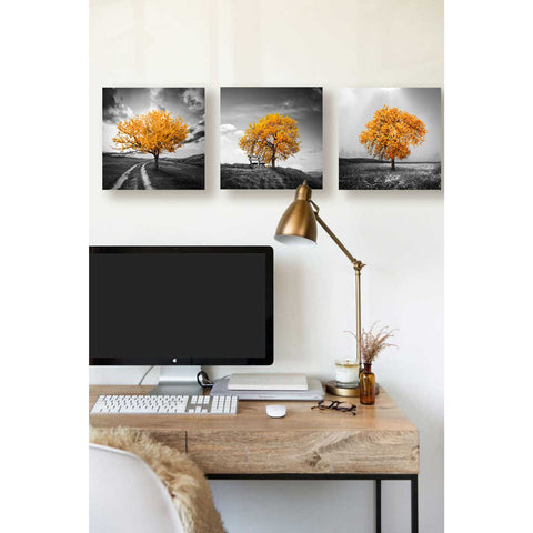 Image of 'Vibrant Tree Series: Autumn Triptych (Set of 3)' Canvas Wall Art,36 x 12
