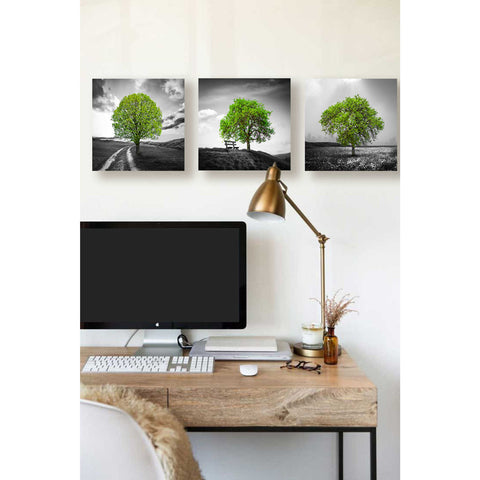 Image of 'Vibrant Tree Series: Green Triptych (Set of 3)' Canvas Wall Art,36 x 12