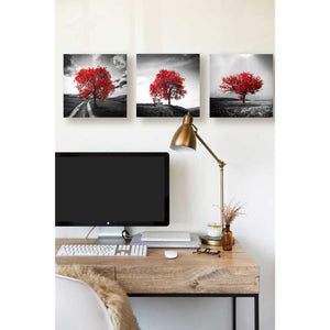 'Vibrant Tree Series: Ruby Triptych (Set of 3)' Canvas Wall Art,36 x 12