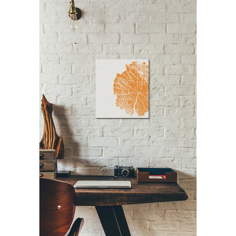 Image of 'Orange Slice' by Linda Woods, Canvas Wall Art,12 x 12
