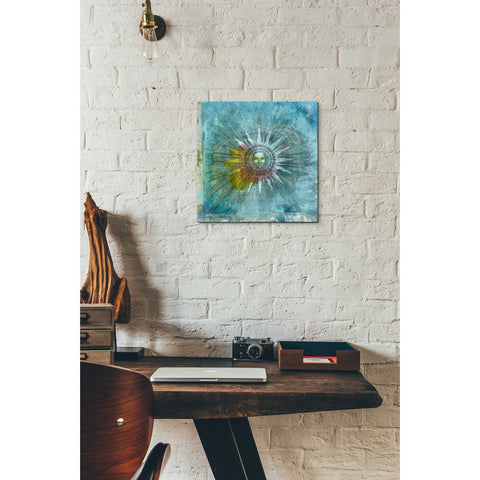 Image of 'Ancient Sun' by Elena Ray Canvas Wall Art,12 x 12