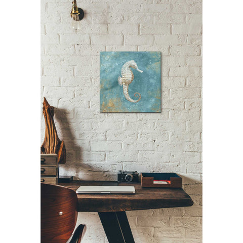 Image of 'Treasures From The Sea I' by Danhui Nai, Canvas Wall Art,12 x 12