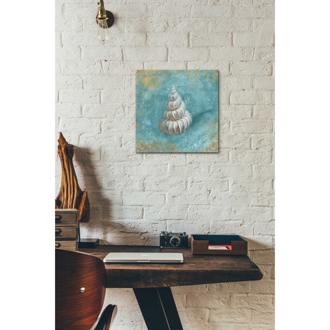 Image of 'Treasures From The Sea II' by Danhui Nai, Canvas Wall Art,12 x 12