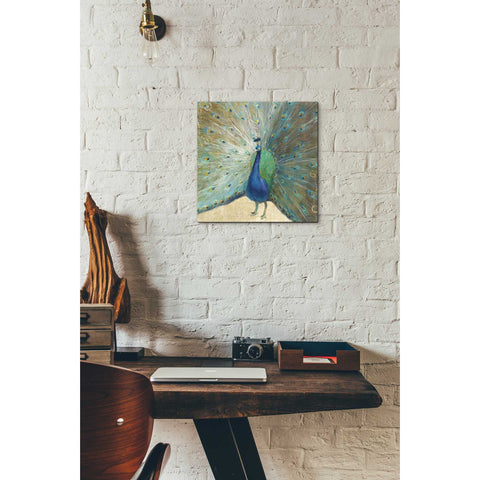 Image of 'Blue Peacock' by Danhui Nai, Canvas Wall Art,12 x 12