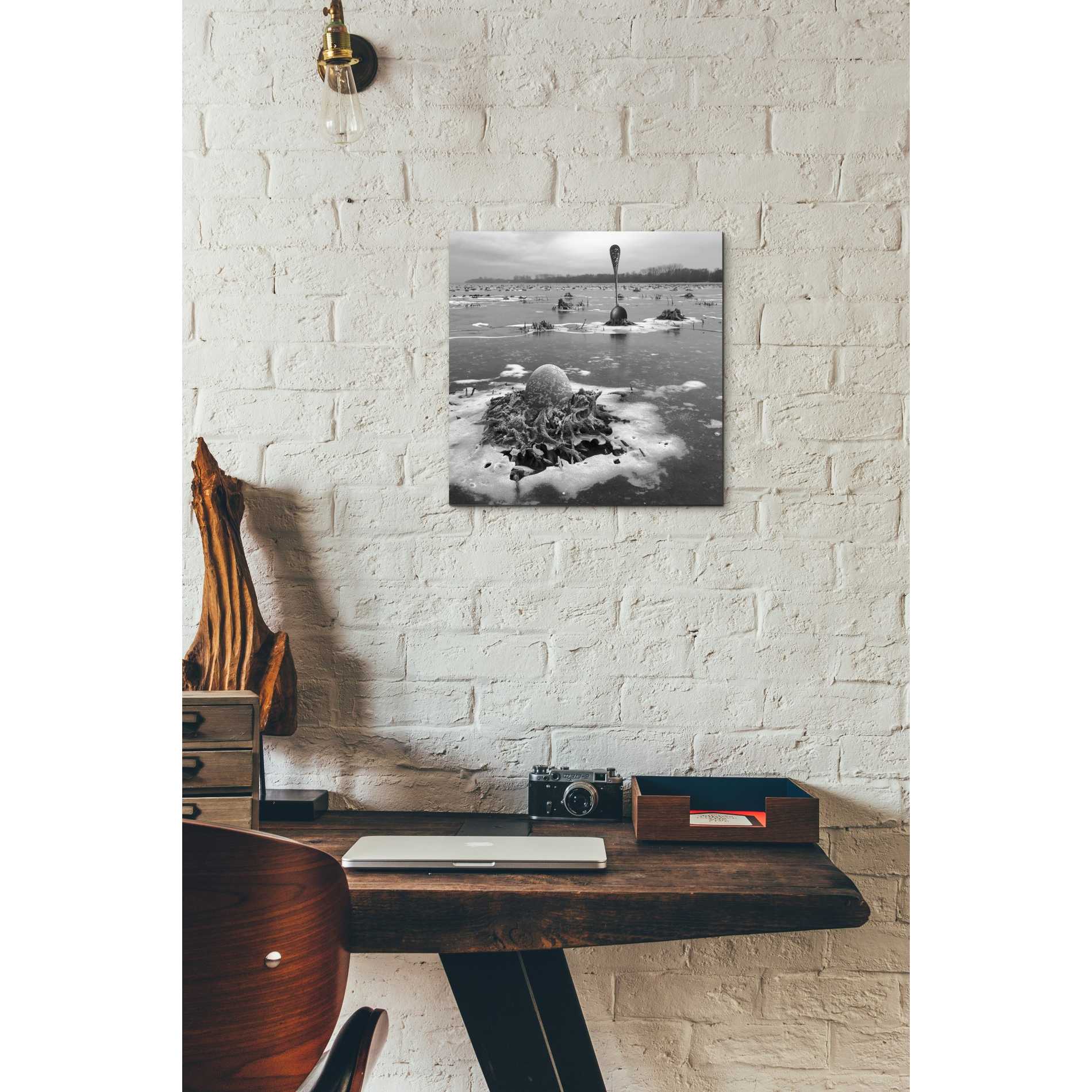 'Frozen Breakfast' by Dariusz Klimczak, Canvas Wall Art,12 x 12