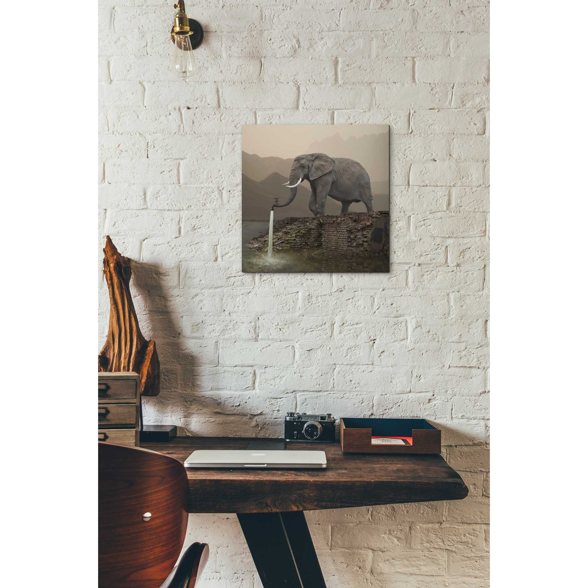 'Hydrant' by Dariusz Klimczak, Canvas Wall Art,12 x 12