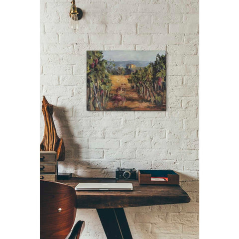 Image of 'Rhone Valley Vineyard' by Marilyn Hageman, Canvas Wall Art,12 x 16