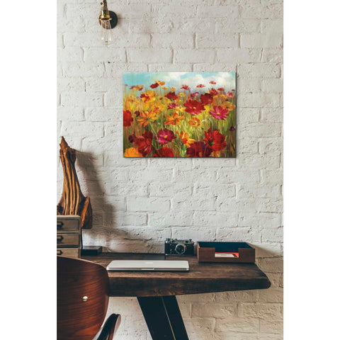 Image of 'Cosmos in the Field' by Danhui Nai, Canvas Wall Art,12 x 16