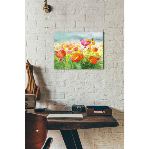 Image of 'Meadow Poppies' by Danhui Nai, Canvas Wall Art,12 x 16