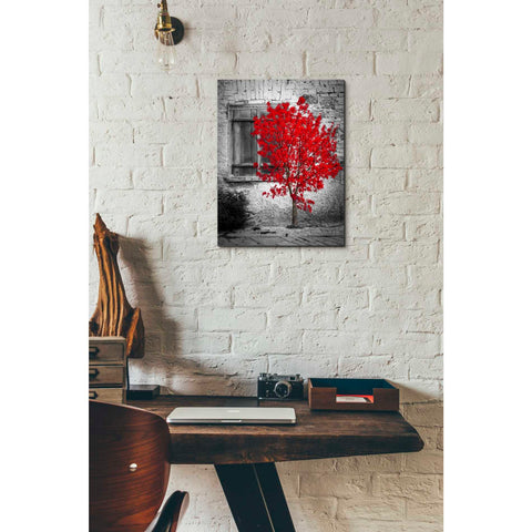 Image of 'Passion' Canvas Wall Art,12 x 16