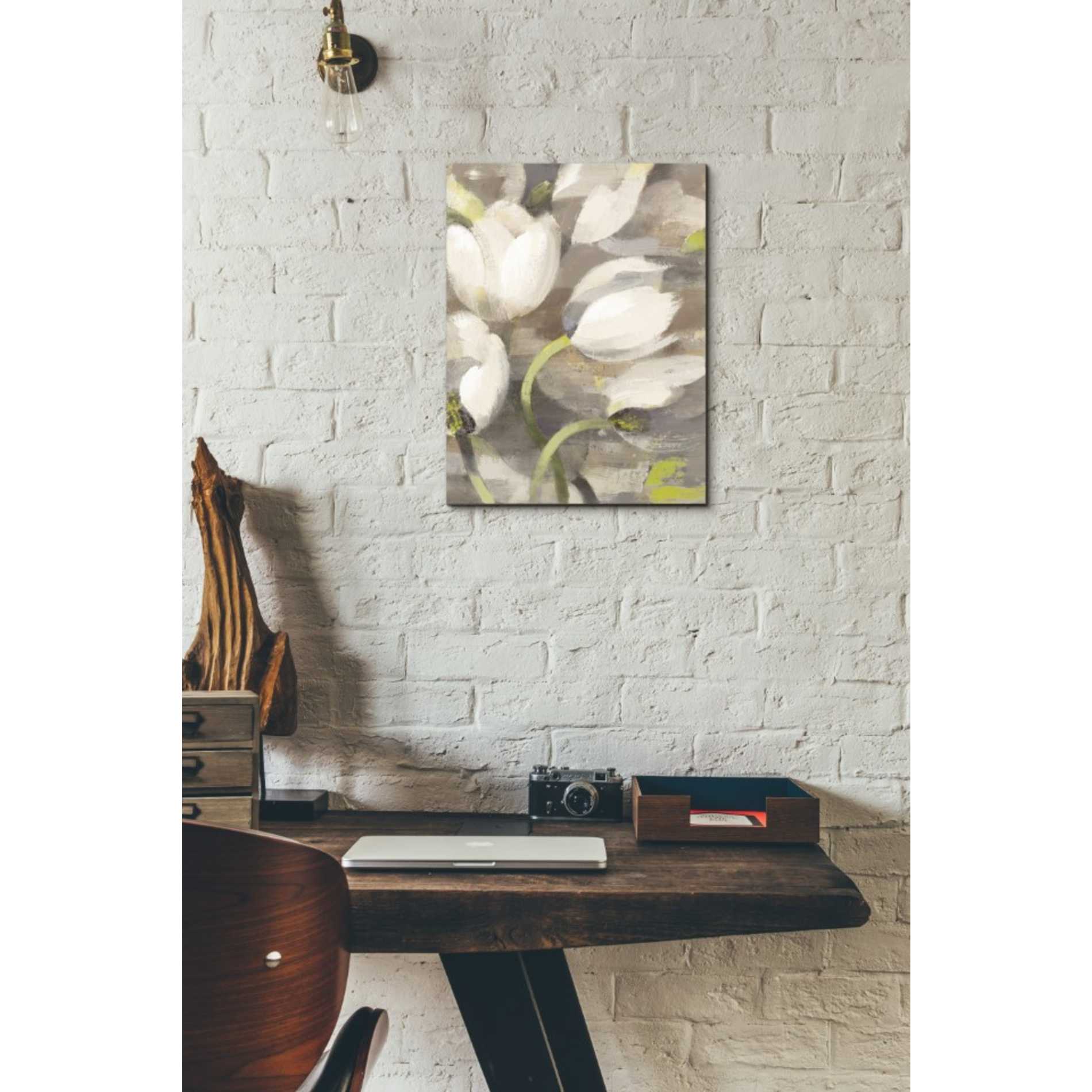 'Tulip Delight II' by Albena Hristova, Canvas Wall Art,12 x 16