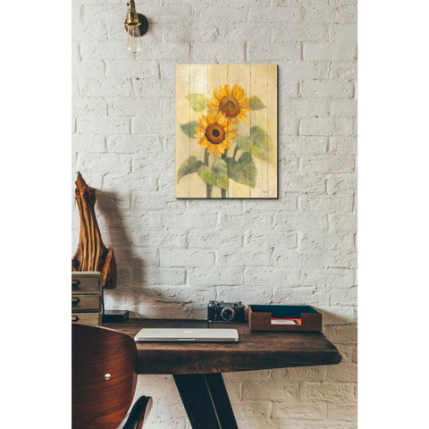 Image of 'Summer Sunflowers I on Barn Board' by Albena Hristova, Canvas Wall Art,12 x 16