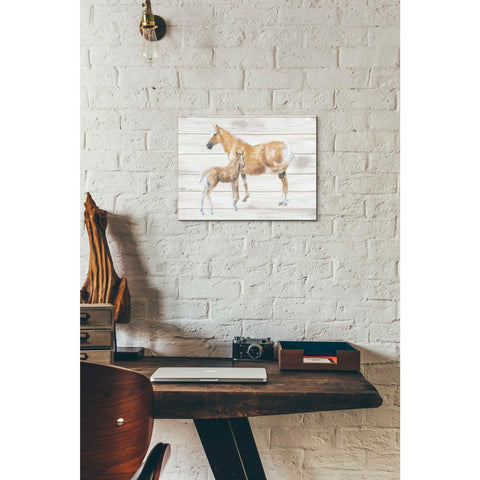 Image of 'Horse and Colt on Wood' by Emily Adams, Canvas Wall Art,12 x 16