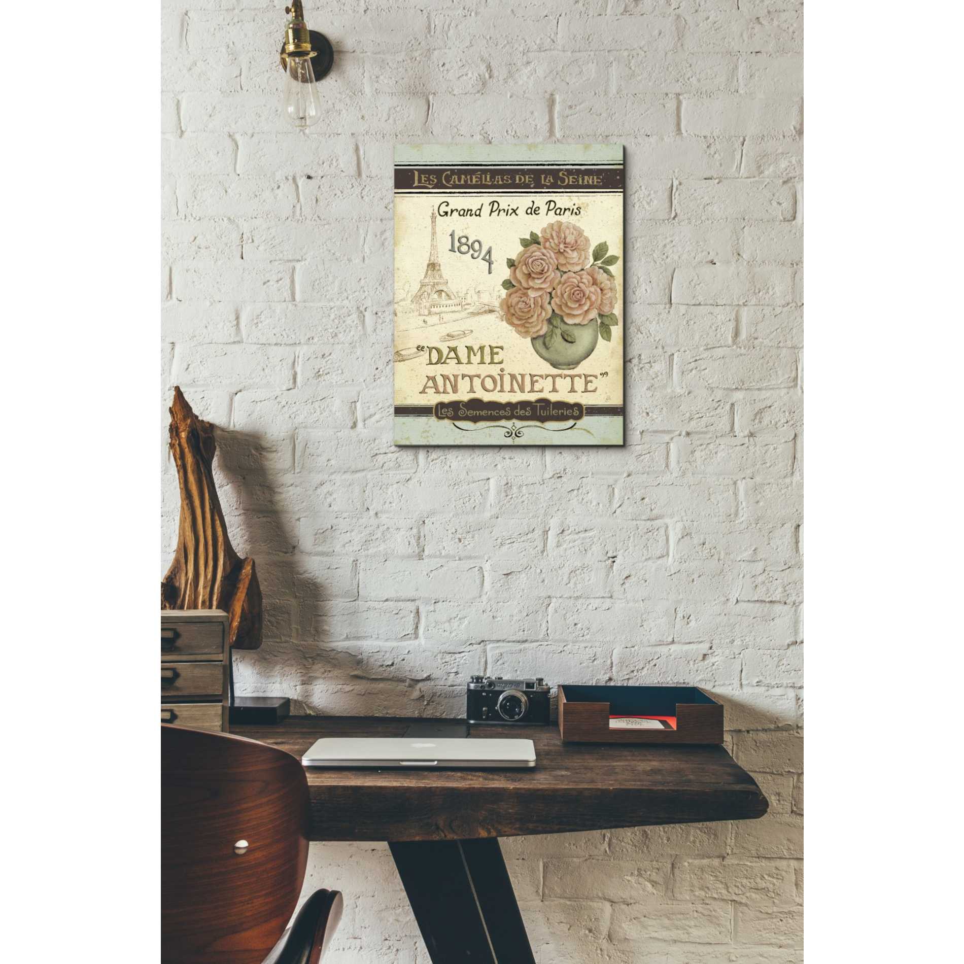 'French Seed Packet II' by Daphne Brissonet, Canvas Wall Art,12 x 16