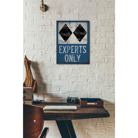 Image of 'Experts Only Blue' by Ryan Fowler, Canvas Wall Art,12 x 16