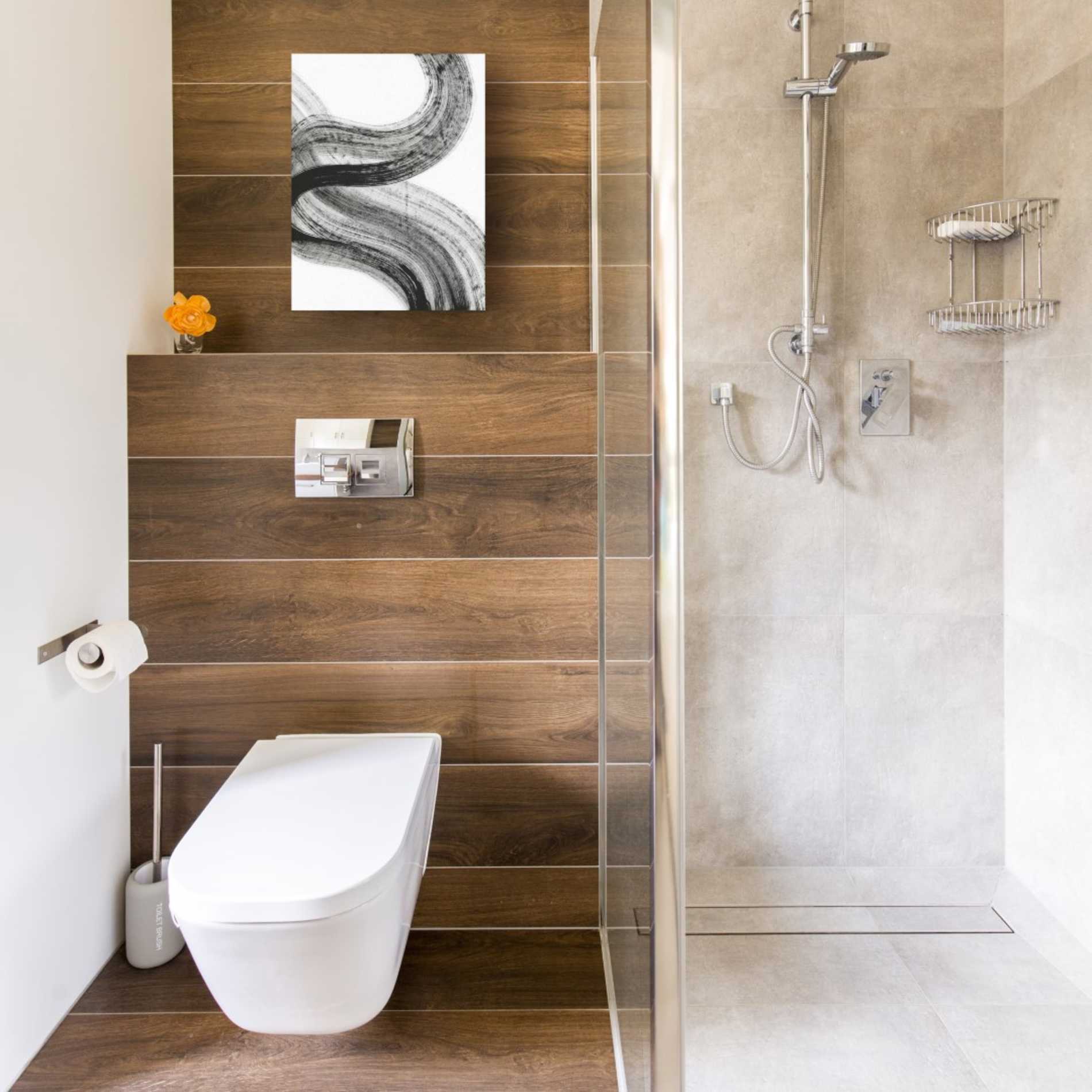 'Shakane2' Canvas Wall Art,12 x 16