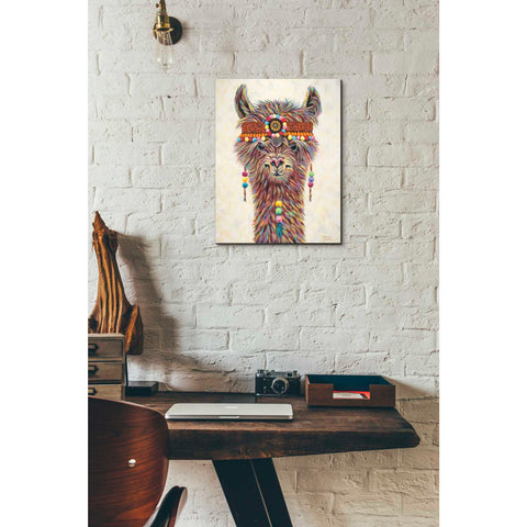 Image of 'Hippie Llama II' by Carolee Vitaletti Canvas Wall Art,12 x 16