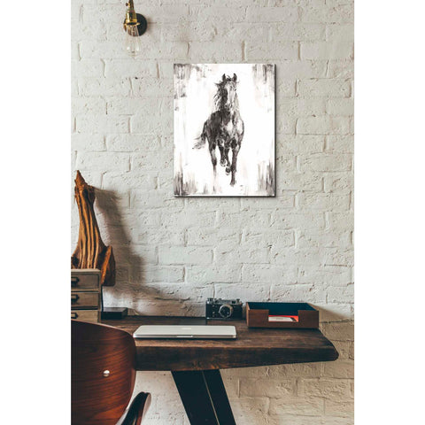 Image of 'Rustic Black Stallion I' by Ethan Harper Canvas Wall Art,12 x 16