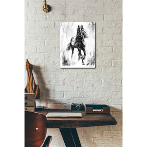 'Rustic Stallion I' by Ethan Harper Canvas Wall Art,12 x 16